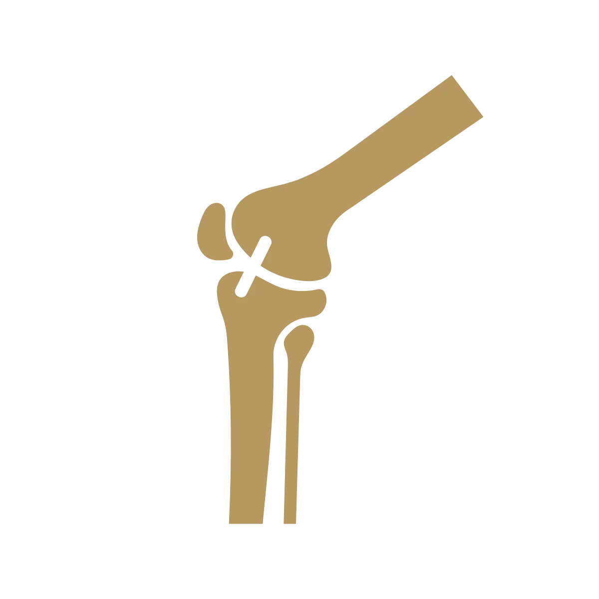 Bear Implant ACL Repair