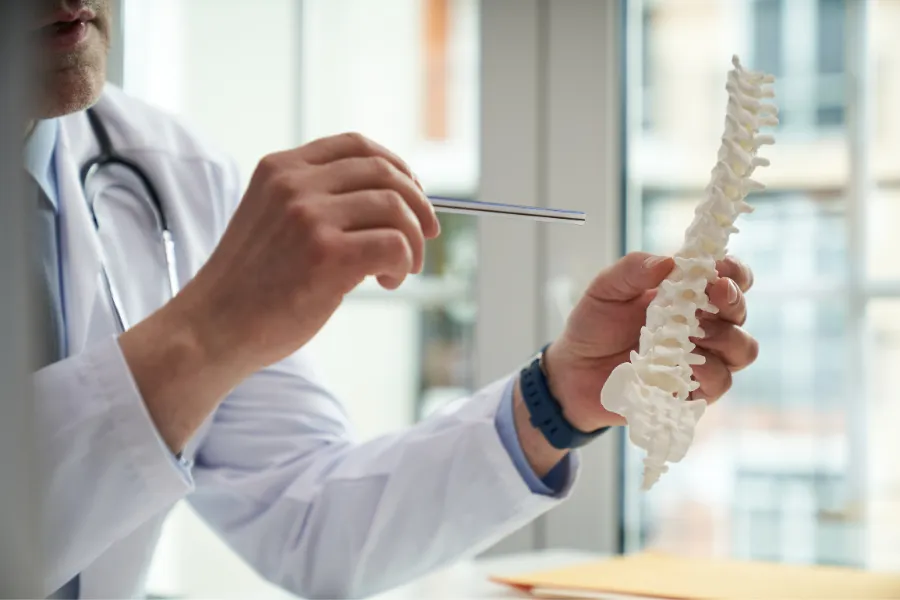 Spine diagram