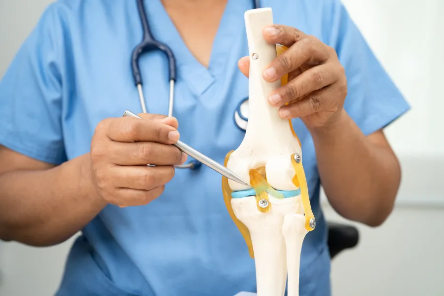 Knee diagram